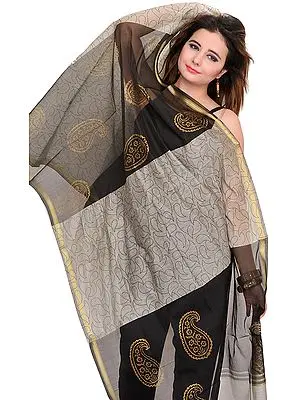 Double-Colored Chanderi Dupatta with Printed Paisleys