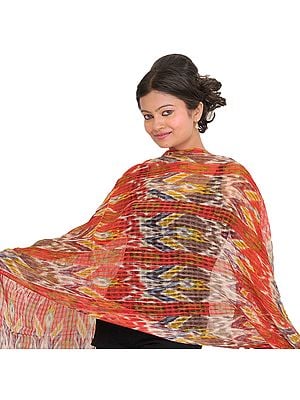 Multicolor Digital Printed Stole with Missing Checks in Weave