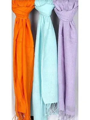 Lot of Three Pure Pashmina Scarves