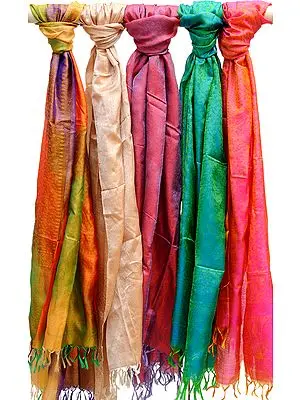 Lot of Five Pure Silk Jamawar Stoles