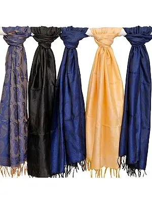 Lot of Five Banarasi Tanchoi Stoles with Woven Paisleys