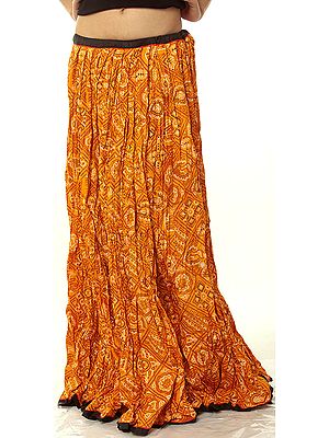 Ghagra Skirt from Rajasthan with Chunri Print