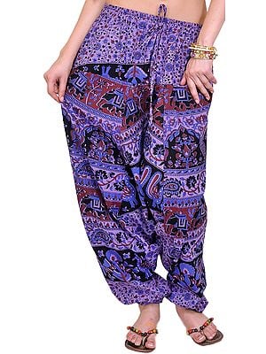 Printed Harem Trousers from Pilkhuwa