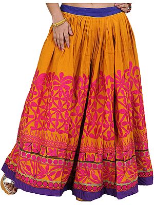 Buckskin-Brown and Pink Aari Embroidered Ghagra Skirt from Kutch