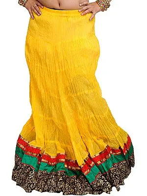Long Ghagra Crinkled Skirt from Jodhpur with Patch Border