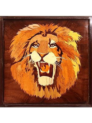 Lion Face (Framed)