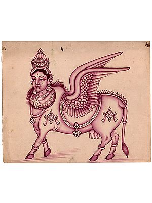 The Celestial Cow Kamadhenu