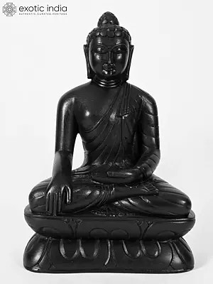 9" Lord Buddha Black Stone Statue