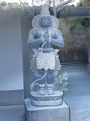 90" Large Size Standing Lord Hanuman Granite Statue