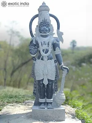 101" Large Size Standing Lord Hanuman | Granite Statue | Handmade Indian Artwork