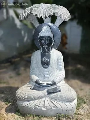 Large Granite Buddha Statue Seated Under Tree - 60 Inch