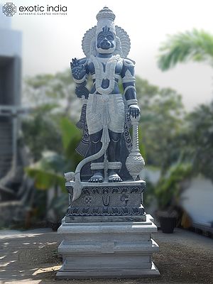 150" Large Size Standing Lord Hanuman | Granite Statue with Base | Handmade Indian Artwork