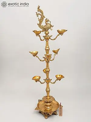 36" Large Multi Wicks Peacock Lamp in Brass