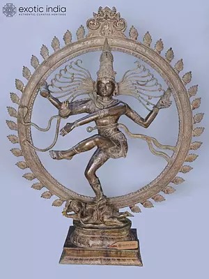 72" Huge Size Nataraja (Dancing Lord Shiva) Brass Statue