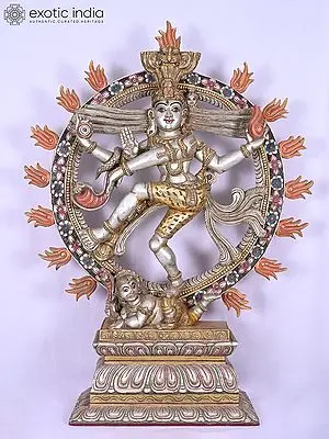 50" Nataraja - Lord Shiva | Wooden Statue | Exquisite Indian Art