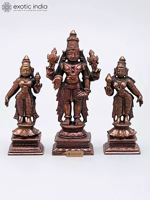 Lord Vishnu with His Wives Bhudevi and Sridevi: Set of 3 Copper Idols