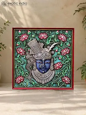 Divine Lord Shrinathji Relief: 24