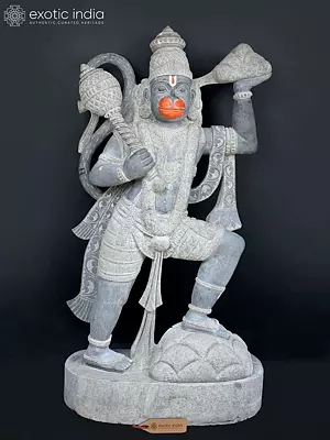 Granite Stone Statue of Lord Hanuman Carrying Sanjivani Herbs Mountain (67'' Large)