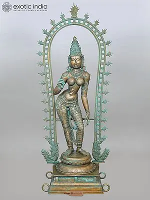 80" Large Superfine Standing Goddess Parvati (Devi Uma) with Prabhavali | Panchaloha Bronze from Swamimalai