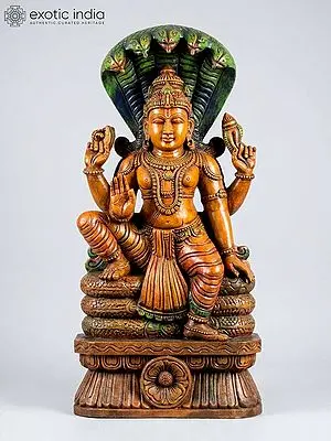 Lord Vishnu Blessing on Sheshnag | 30" Wood Sculpture
