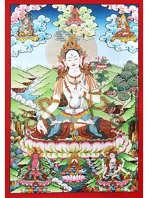 Superfine Tibetan Buddhist Saviour Goddess  White Tara -Brocadeless Thangka