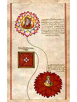 Ascent of the Kundalini