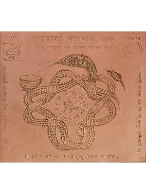 Neelkantha Nagapash Chakra (Yantra Prevents from Snake Biting)