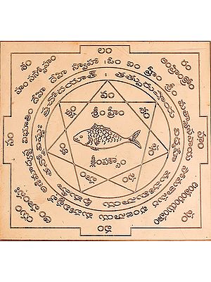 Matsya Yantra for Vastu Doshas (Telugu)