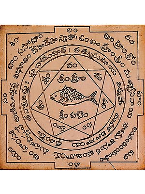 Matsya Yantra for Vastu Doshas (Telugu)