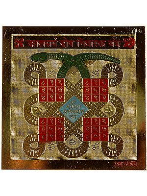Kalasarpa Dosha Nivaraka Yantra (Yantra Prevents from Snake Biting