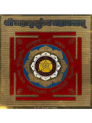 Shri Mahamrityunjay Yantram