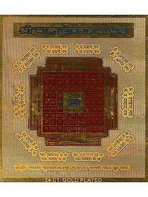 Shri Vaastu Doshnashak Yantra