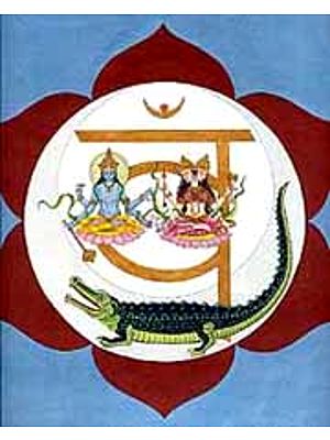 Svadhisthana Chakra (Second Chakra)