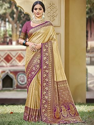 Silk Floral Broad Border Fancy Party Wear Banarasi Silk Saree With Paisleys Motif Contrast Pallu