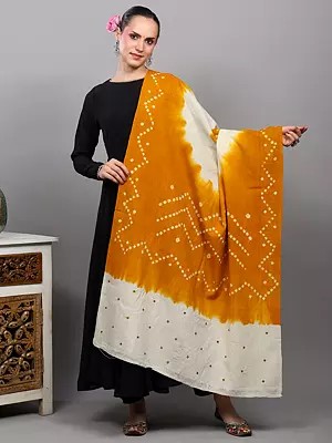 Double Shaded Bandhani Tie-Dye Shawl with Mirror Embroidered Palla from Gujarat