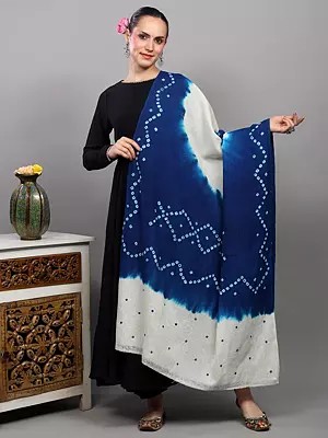 Double Shaded Bandhani Tie-Dye Shawl with Mirror Embroidered Palla from Gujarat