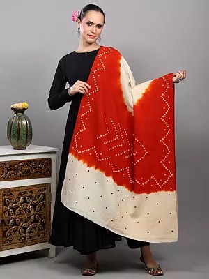 Double Shaded Bandhani Tie-Dye Shawl with Mirror Embroidered Palla
