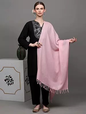 Plain Tusha Stole from Kashmir