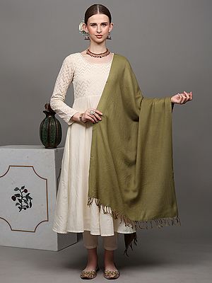 Plain Tusha Stole from Kashmir