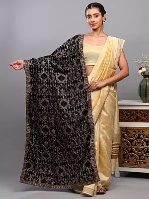 Velvet Dupatta with Aari Embroidered Motifs from Amritsar