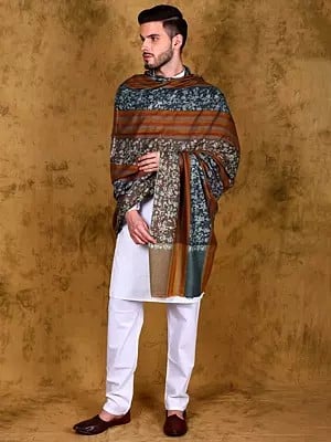 Pure Pashmina Multi-Colored Stripes Patterned Shawl for Men with Sozni Embroidered Foliage All-Over