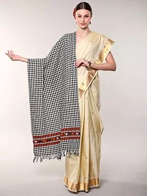 Checks Handloom Stole from Kullu with Kinnauri Woven Border
