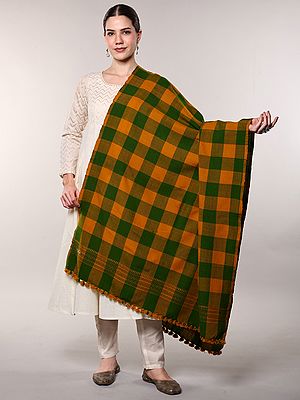 Green and Gold Checks Pattern Shawl with woven Border from Kutch