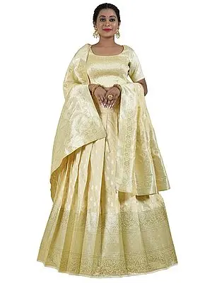 Banarasi Art Silk Lehenga with All over Paisley Pattern