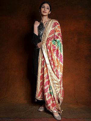 Phulkari Embroidered Dupatta from Punjab with Mirrors and Gota Patti Border