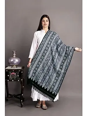 Black-Beauty Woolen Stole from Kashmir with Aari-Embroidered Floral Vines By Hand