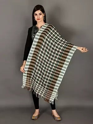 Multicoloured Handwoven Pure Wool Stole With Check Pattern From Uttarakhand (Trishulii, an Initiative By TATA)