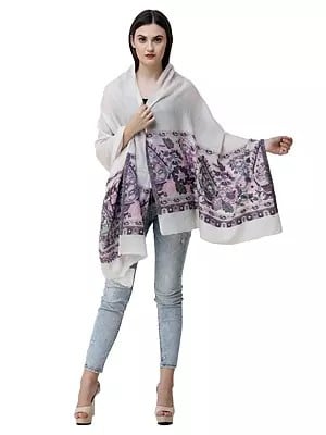 White Colour SemiPashmina Shawl With Beautiful Border And Allover Jaal Owning A Unique Accessory. 