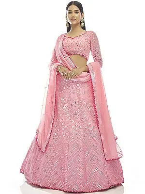 Dianthus Mirror-Gota Work Georgette Lehenga With Designer Choli