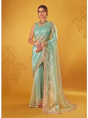 Plume Organza Saree With Thread Work On The Border And Pallu